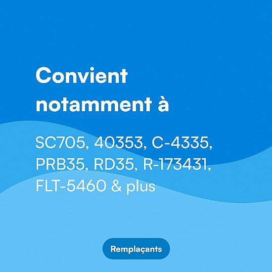 Filtre pour spa PRB35-IN3 / SC705 / 40353 / C-4335 par Alapure