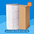 Filtre Alapure - pour Hayward C150SE / PA150S / CX150XRE Filtre Alapure - pour Hayward C150SE / PA150S / CX150XRE
