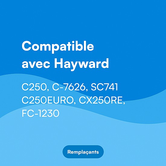 Filtre Alapure - pour Hayward C250EURO / SC741 / C-7626 Filtre Alapure - pour Hayward C250EURO / SC741 / C-7626