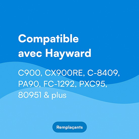 Filtre Alapure - pour Hayward C900 / PA90 / CX900RE Filtre Alapure - pour Hayward C900 / PA90 / CX900RE