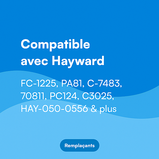 Filtre compatible avec Hayward SwimClear CX580XRE / CX580RE / C3020 / C3025 / C3030 for piscine Filtre compatible avec Hayward SwimClear CX580XRE / CX580RE / C3020 / C3025 / C3030 for piscine