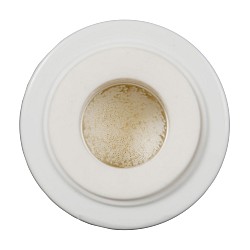 Alapure ALA-CTO10HF Filtre à charbon avec filtration UF Alapure ALA-CTO10HF Filtre à charbon avec filtration UF