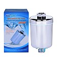 Filtre de douche Icepure SF001-H