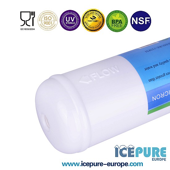 Filtre à sédiments en ligne BIG de Icepure ICP-AIP25 1 micron Filtre à sédiments en ligne BIG de Icepure ICP-AIP25 1 micron