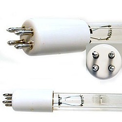 Lampe de remplacement UV 6GPD