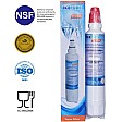 Icepure Filtre à eau adapté aux systèmes de filtration Eden SBR 20C EFS 20HC Icepure Filtre à eau adapté aux systèmes de filtration Eden SBR 20C EFS 20HC