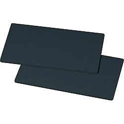 Bosch Filtre à charbon 11015122 / DSZ500P (lot de 2)
