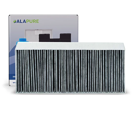 Alapure CleanAir Filtre à charbon actif pour Balay 11018621 / AA210110 / 11010506